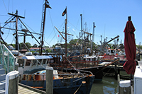 harbor2