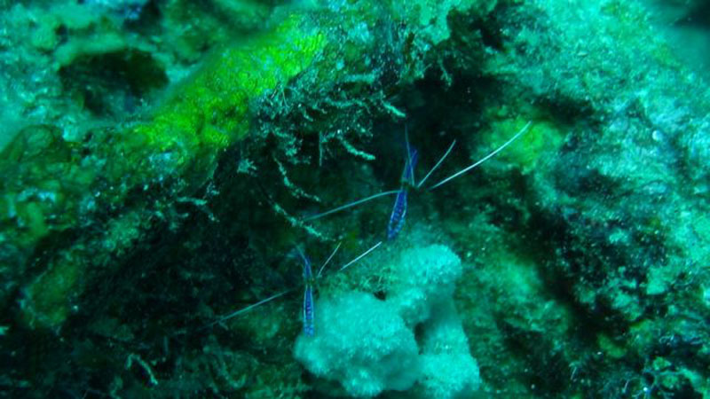 DSC00392_2